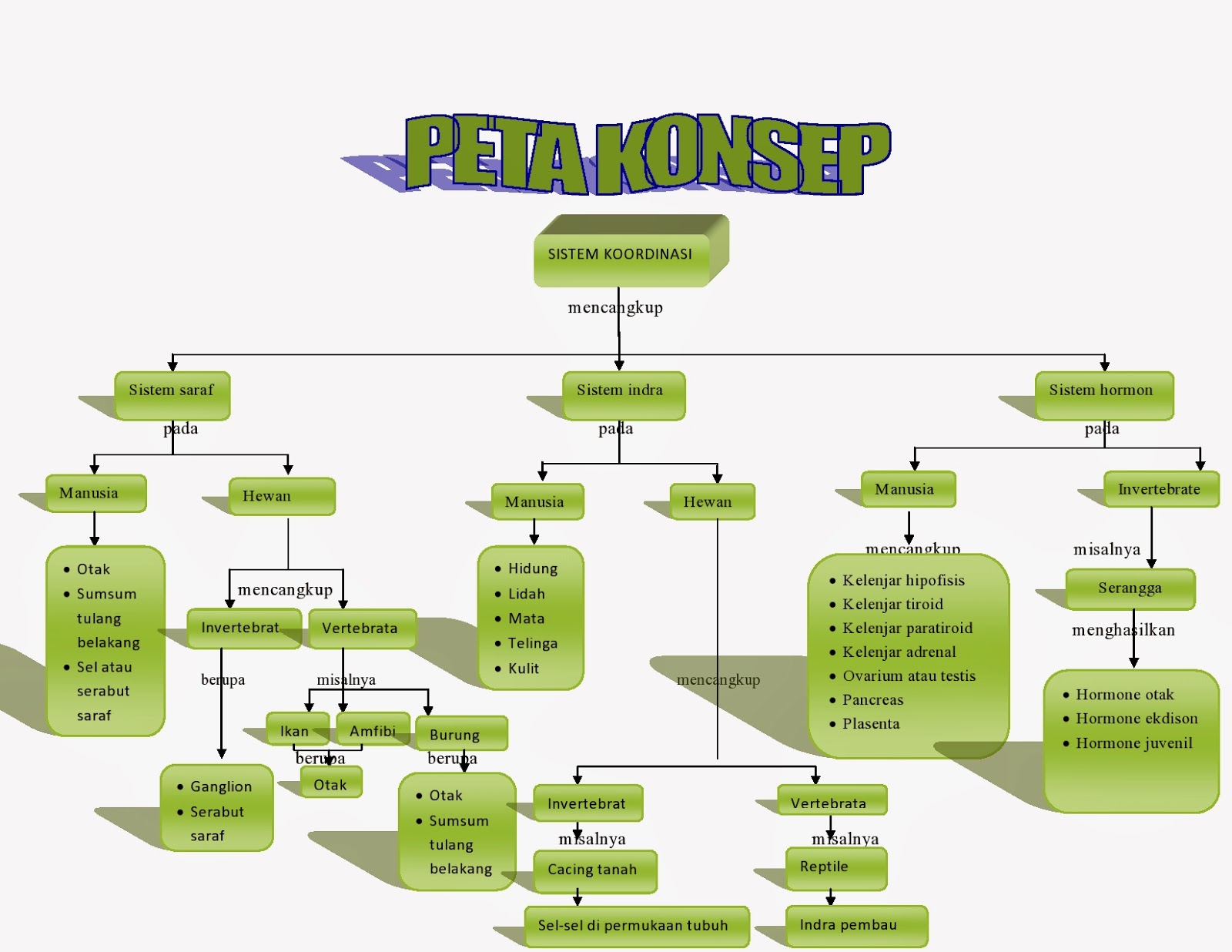 Cara Membuat Peta Konsep Untuk Mengorganisir Ide Dan Informasi Make