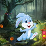 Games4king Cute Bunny Rescue Walkthrough