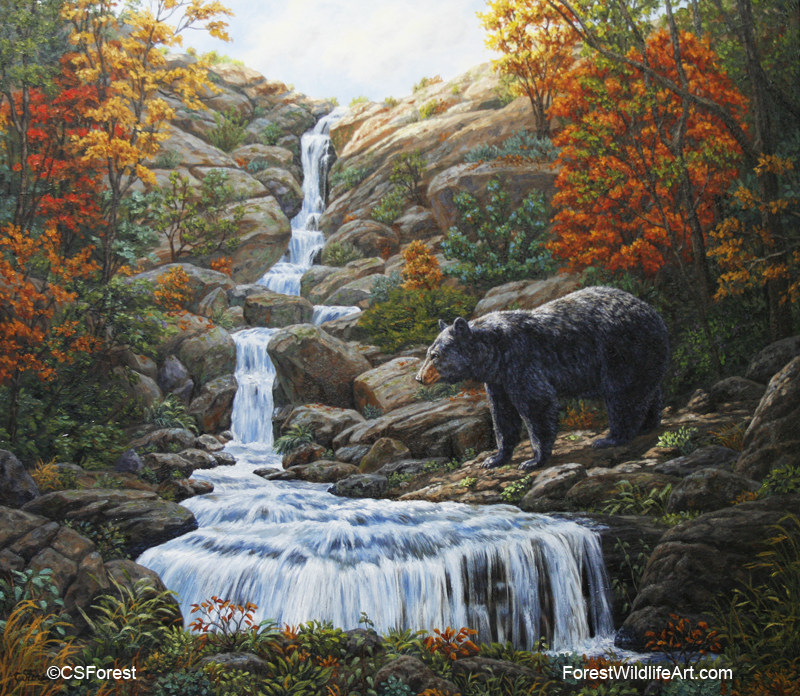 Crista Forests Animals And Art Black Bear By Waterfall Add A Baby