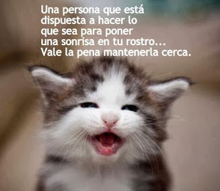Imagenes de Amor Tiernas de Animales-Imagenes de amor Imagenes de Amor