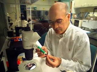 Image: Dr. Ali Eroglu, reproductive biologist and cryobiologist at the Medical College of Georgia