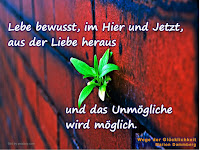 Lebe bewusst, im Hier und Jetzt zum inneren Frieden, die Gegenwart leben, neue Perspektiven und Ideen, zurück zu dir selbst, Wege der Glücklichkeit Life-Coach Marion Dammberg Zitat Frieden