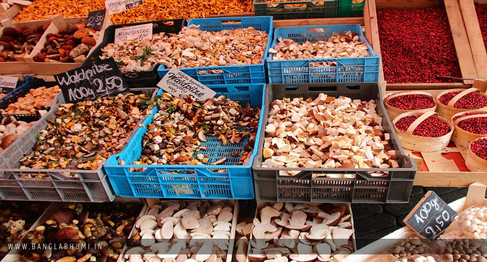 Market Mushroom Farming Business West Bengal Market Mushroom Farming Business West Bengal
