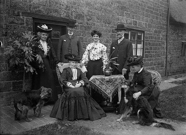 Aspidistra victorian photographs