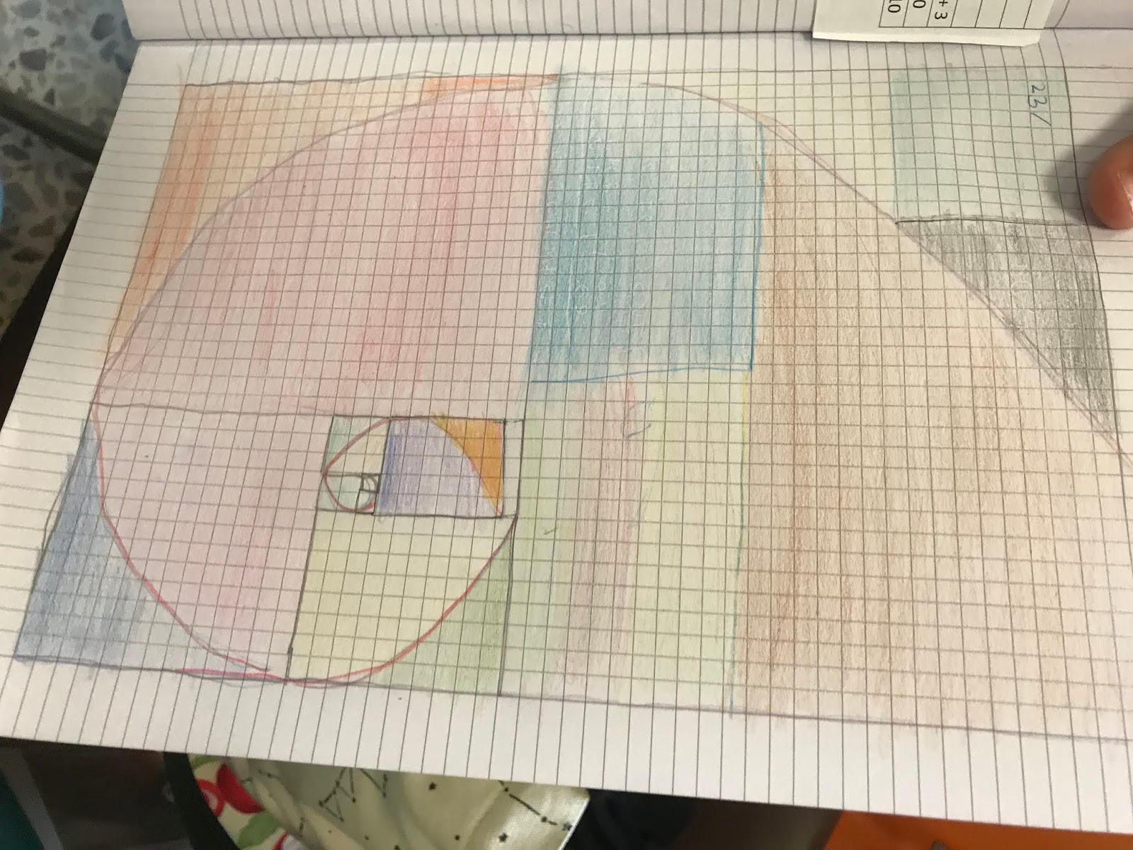 Il Fibonacci Day e la spirale "magica"!