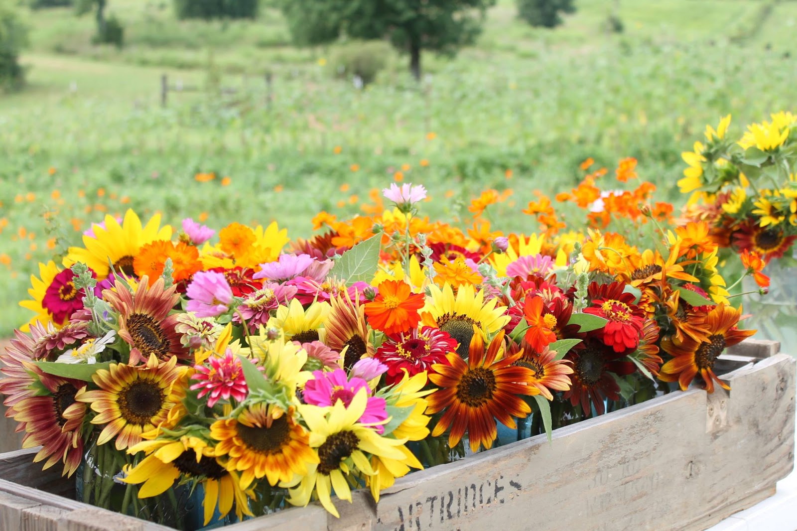 The Red Feedsack Farm Fresh Flowers