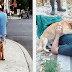 10 photos qui prouvent que le chien est vraiment le meilleur ami de l'homme