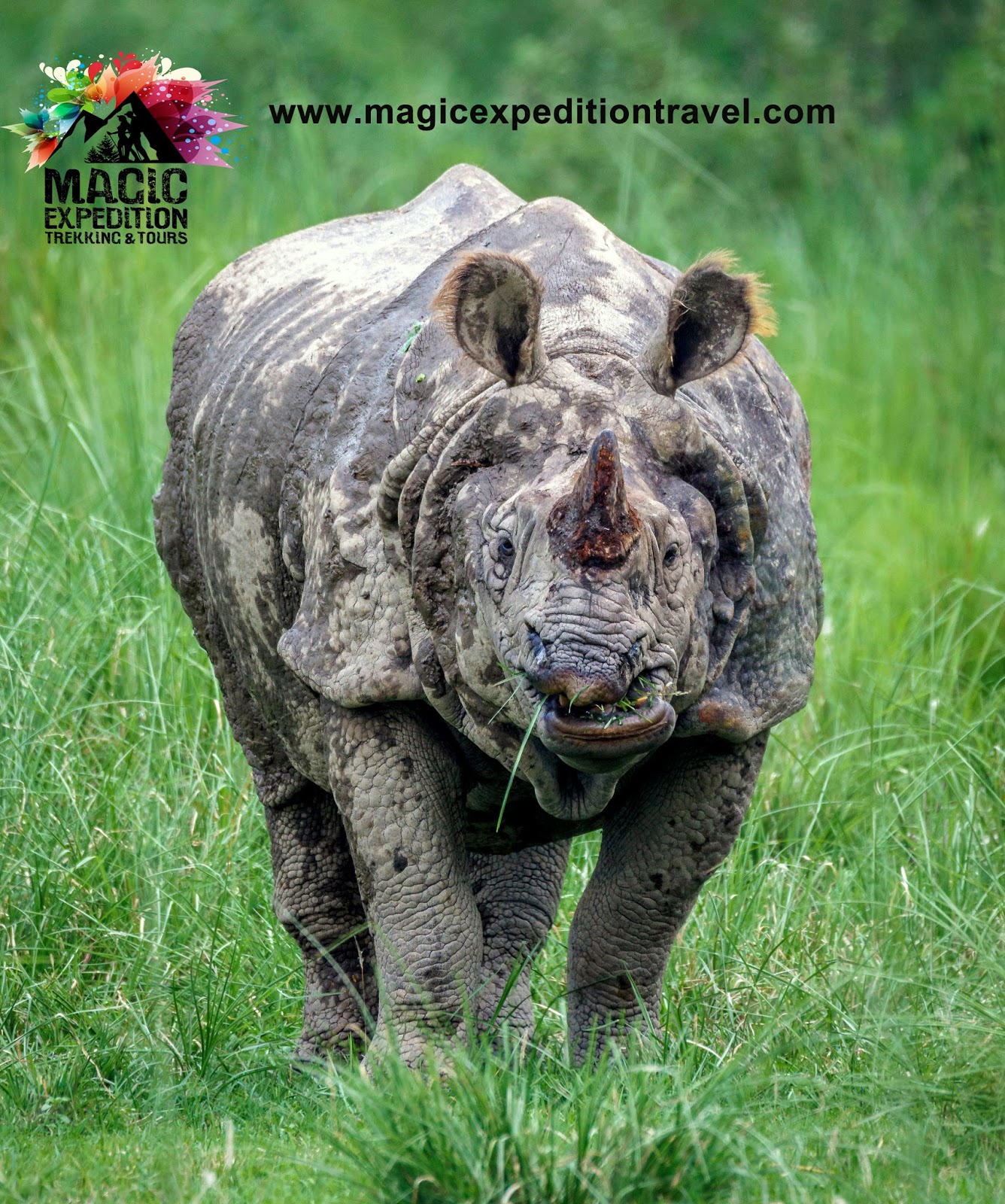 Magic Expedition Trekking And Tours, Trekking in Nepal One Horned