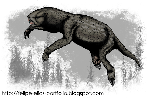 Megalonychidae Ahytherium