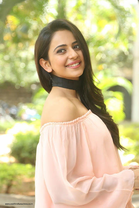 Rakul Preet Singh at Jaya Janaki Nayaka Success Meet
