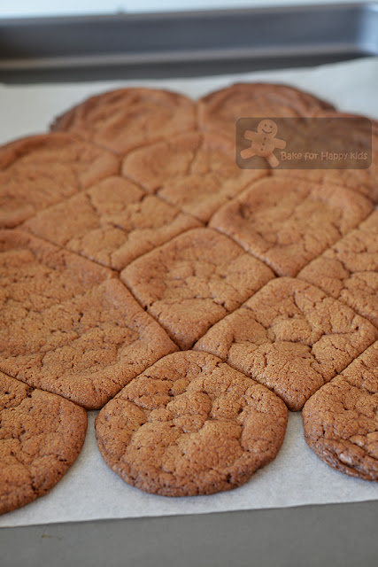 bad Biscoff cookie spread cookies