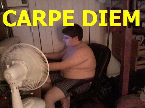 [Obrazek: fat+guy+carpe+diem.jpg]