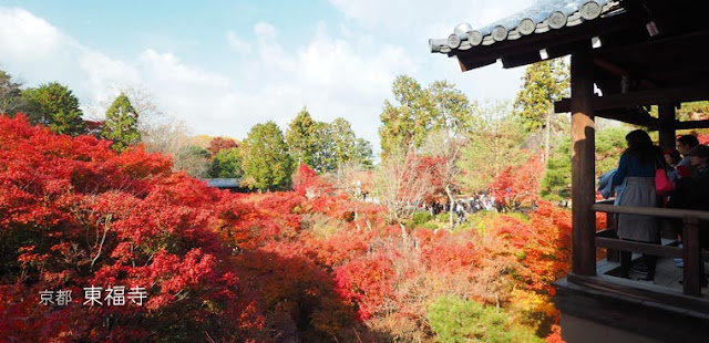 [京都] 東福寺 ② 通天橋の紅葉 ひとり旅が好きな女のブログ。