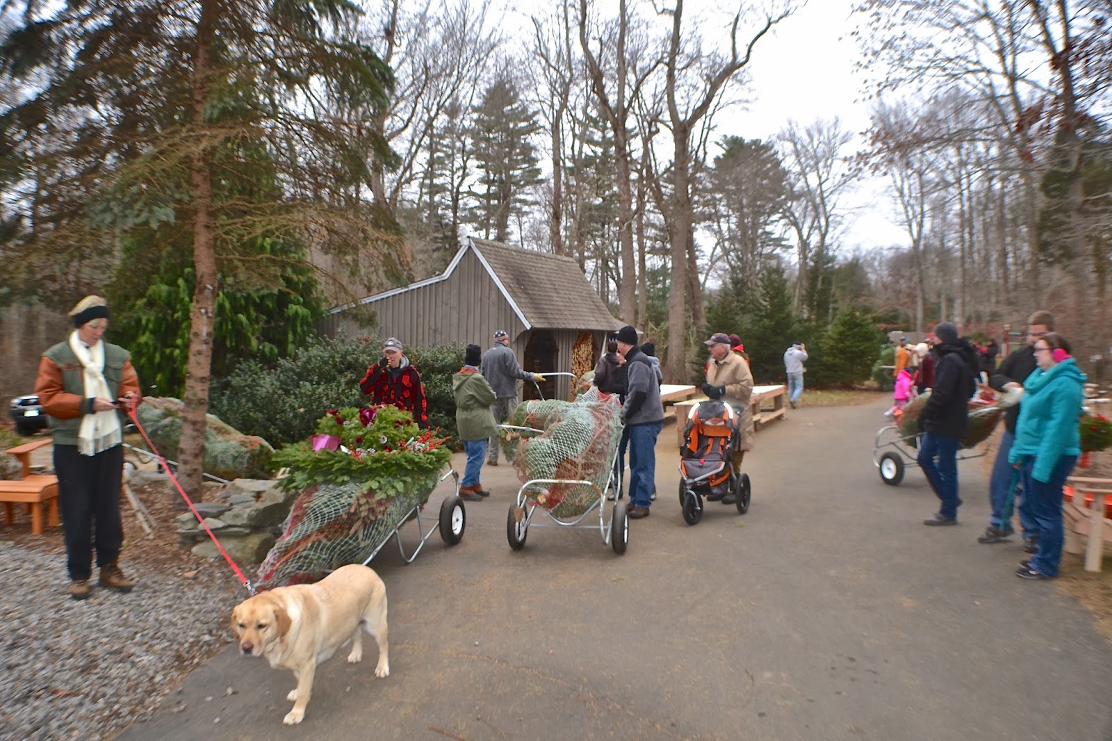 Focus On Killingworth, CT and Surrounding Towns Christmas At