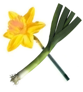 Crossed leek and daffodil, the symbols of Wales