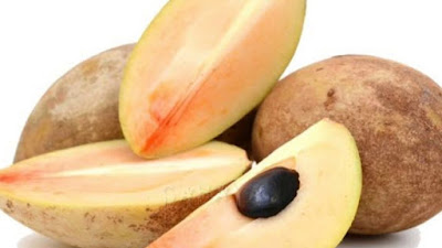 Bercinta Dengan Buah Sawo