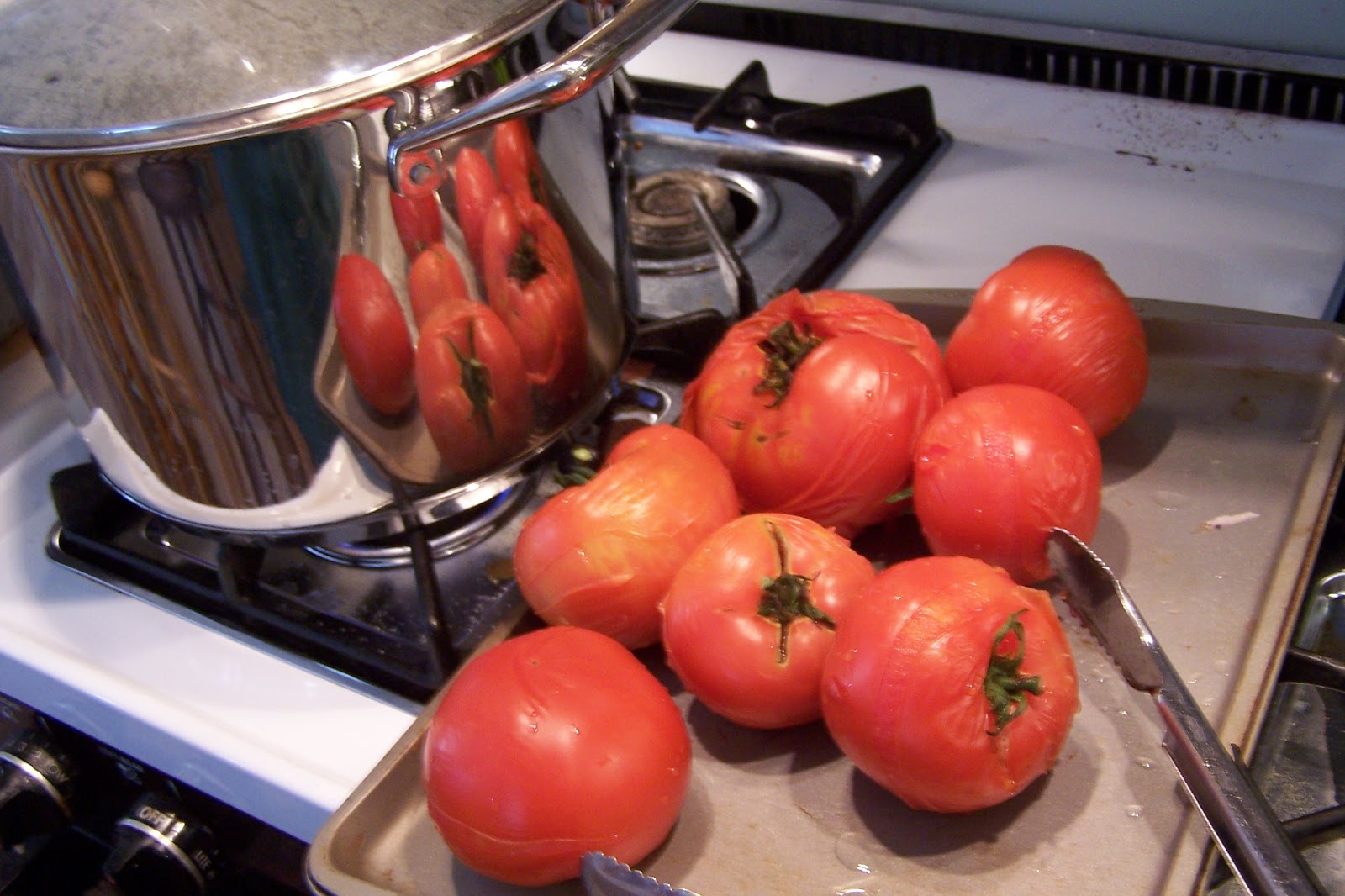 Somethings Old, New, Green, Redo! Canning Italian Zucchini in Stewed
