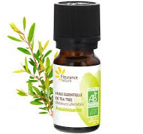 tea tree tea tree