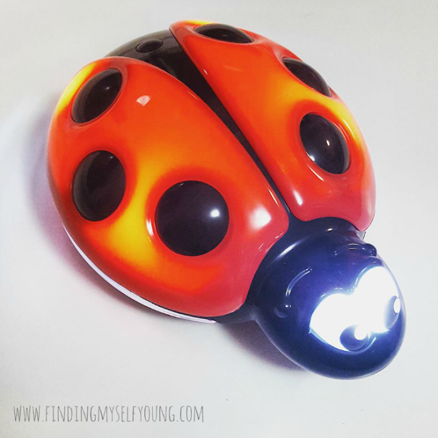 dreambaby ladybug night light on