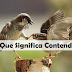 O Que Significa Contenda? Uma Definição Bíblica de Contenda