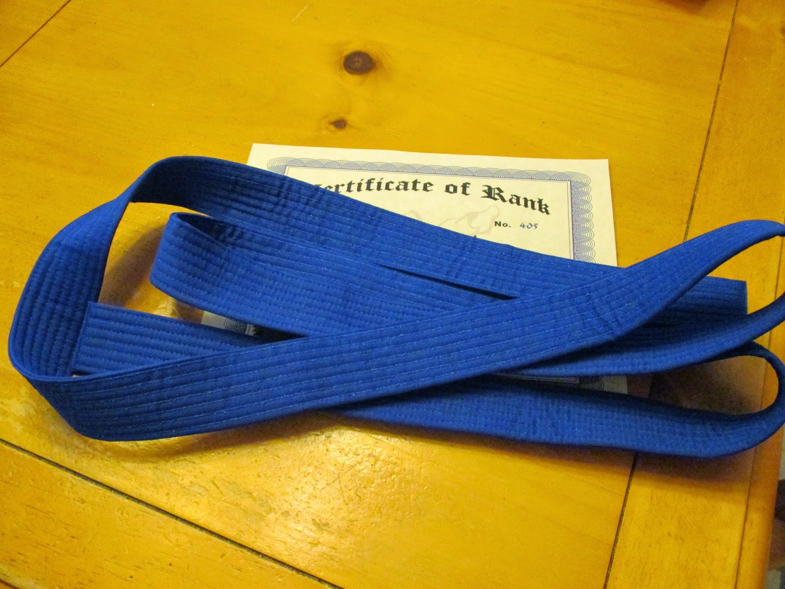 Pens, Thespians, and Words: Receiving my Blue Belt in Taekwondo and the