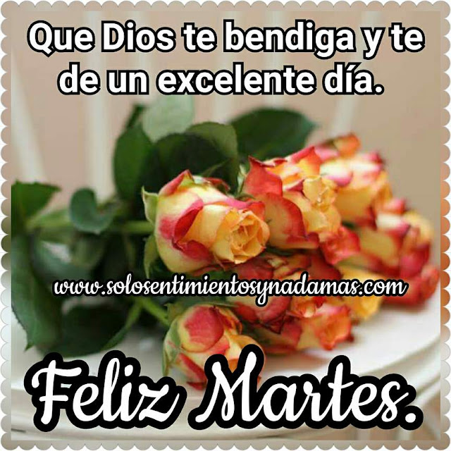 Feliz martes.