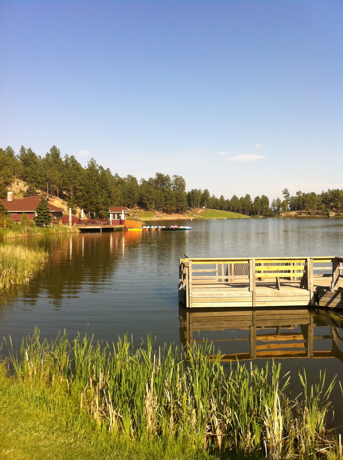 Wayne's Photo of The Day Custer State Park, South Dakota