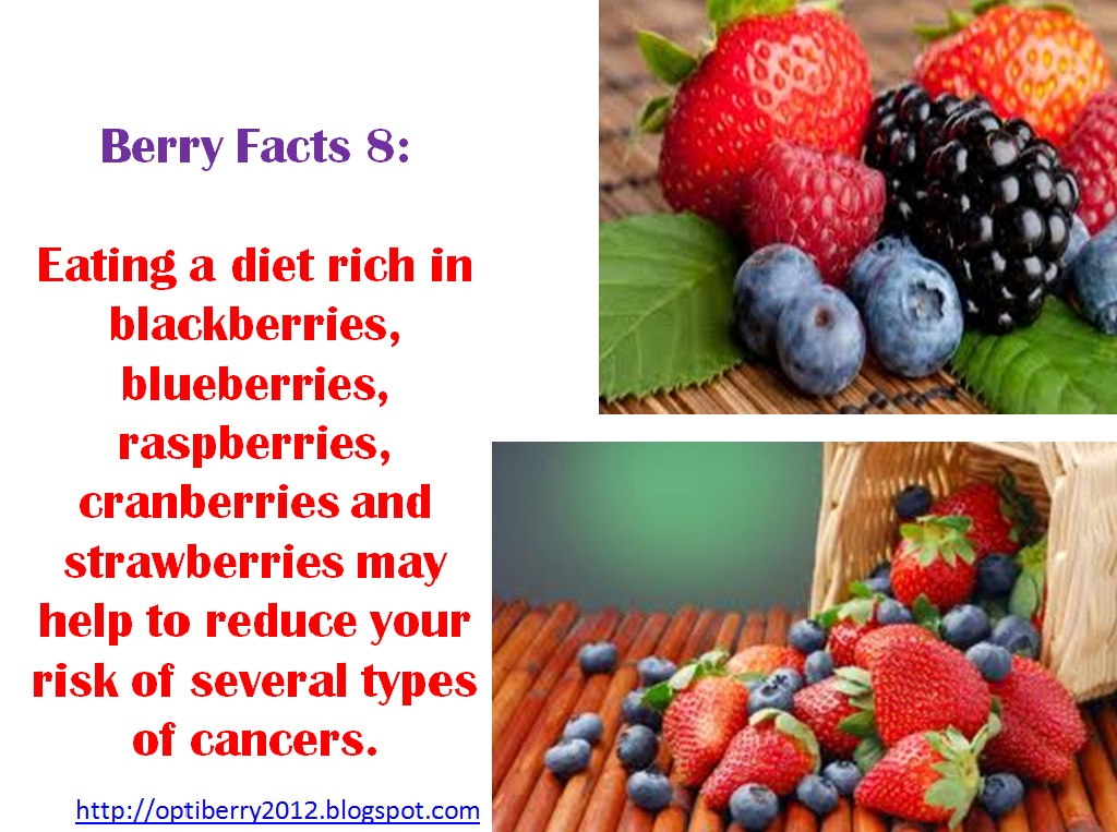 Unleashing The Power of Berries