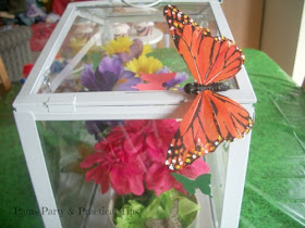 Butterfly House Centerpiece at Pams Party and Practical Tips 