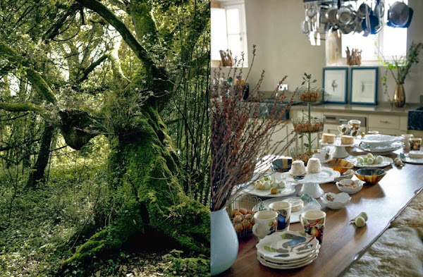 ZARA HOME FALL WINTER 13
