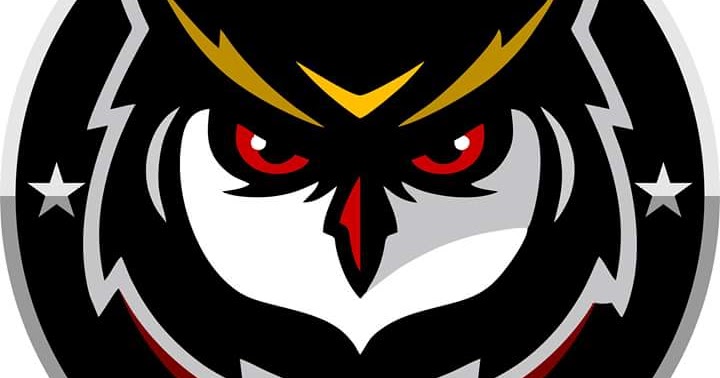 32++ Gambar burung hantu keren untuk logo terupdate