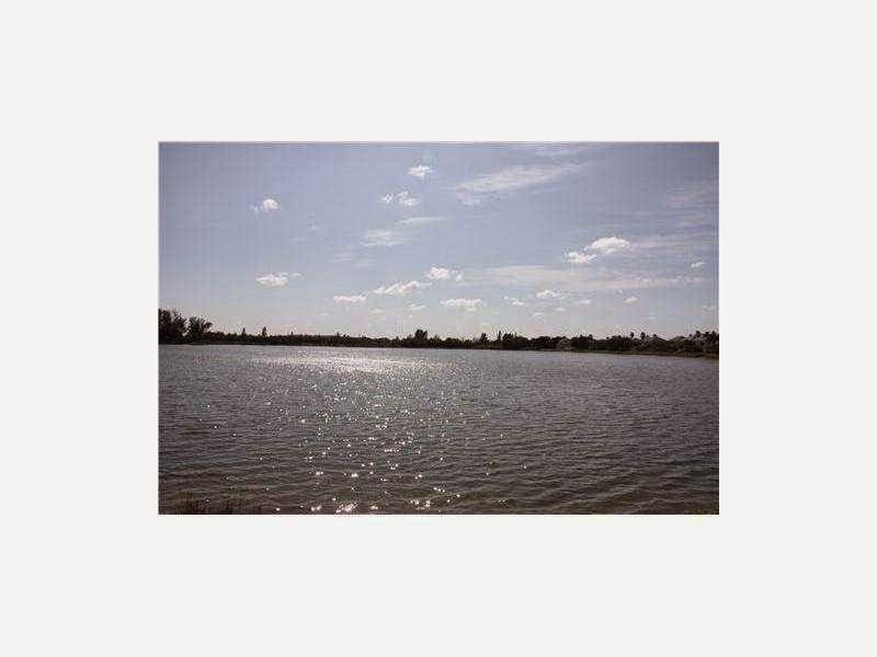 South Florida Real Estate Rory Mark Schmer Another Dynamite New