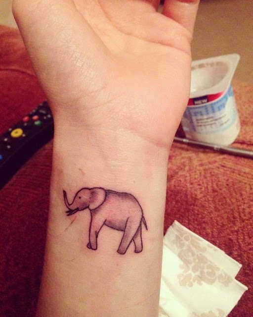 tatuagens de elefante para as meninas tatuagens de elefante para as meninas
