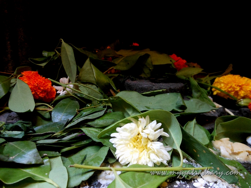 Flowers offered to Lord Shiva, Bhuleshwar Shiva Temple near Yavat, Pune