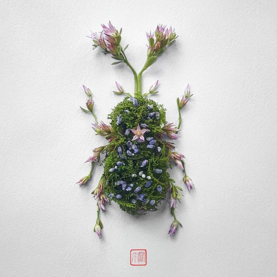 Raku Inoue reikan_creations arte instagram fotografia insetos feitos de flores plantas
