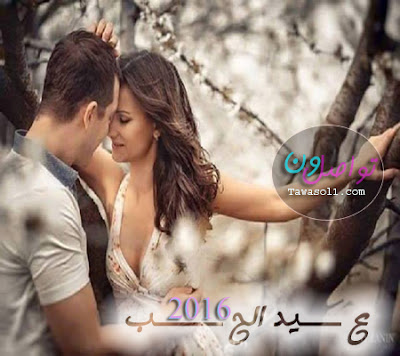 1928b682cf178bc6187f0b91b0da284b