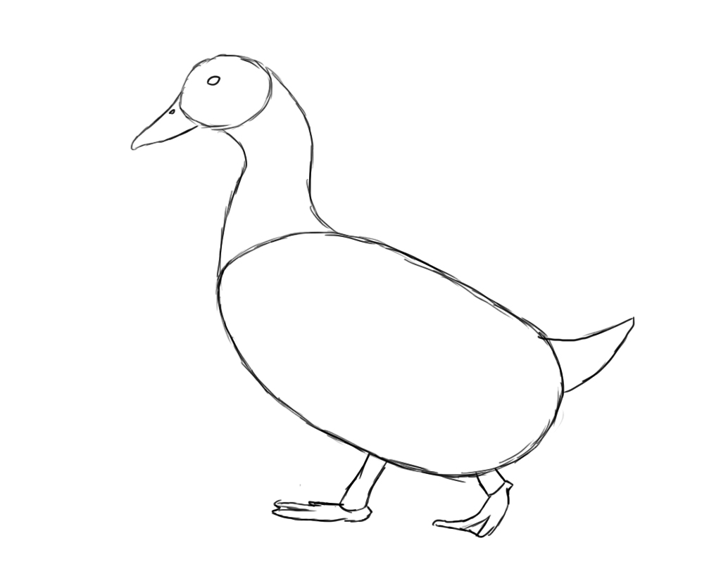 How To Draw A Duck - Draw Central