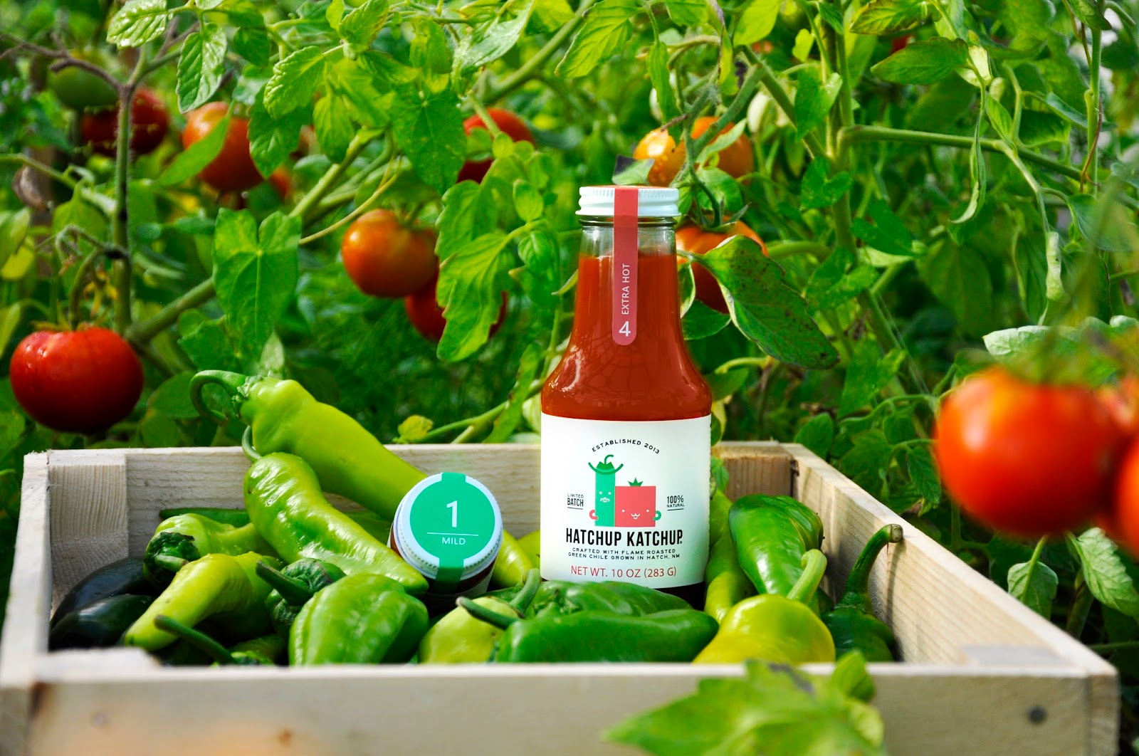 Hatchup Katchup Packaging Of The World