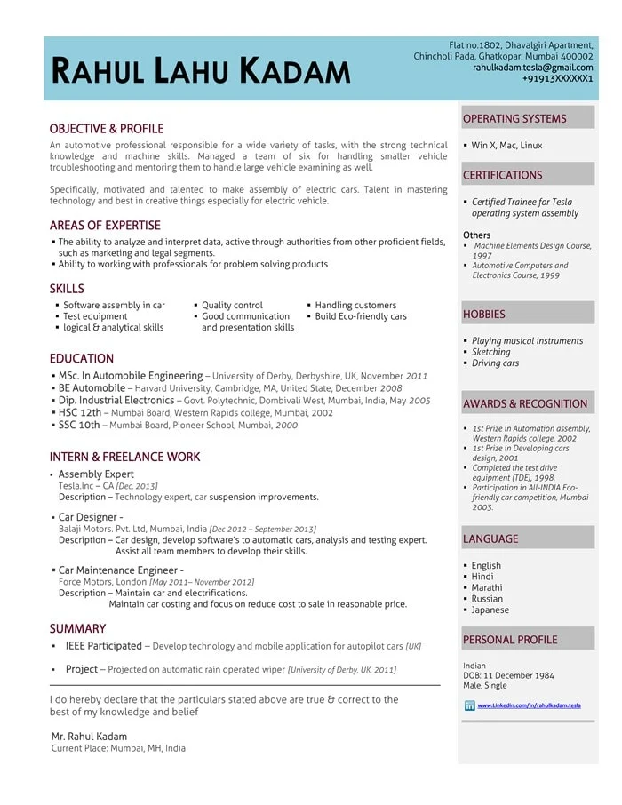 Hybrid resume format