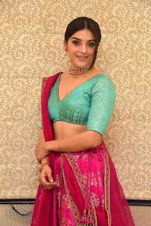 Actress Mehrene Kaur Pirzada Pics At Aswathama Pre Release Actress Mehrene Kaur Pirzada Pics At Aswathama Pre Release