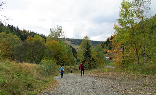 Dolina Wierchomlanki. Dolina Wierchomlanki.