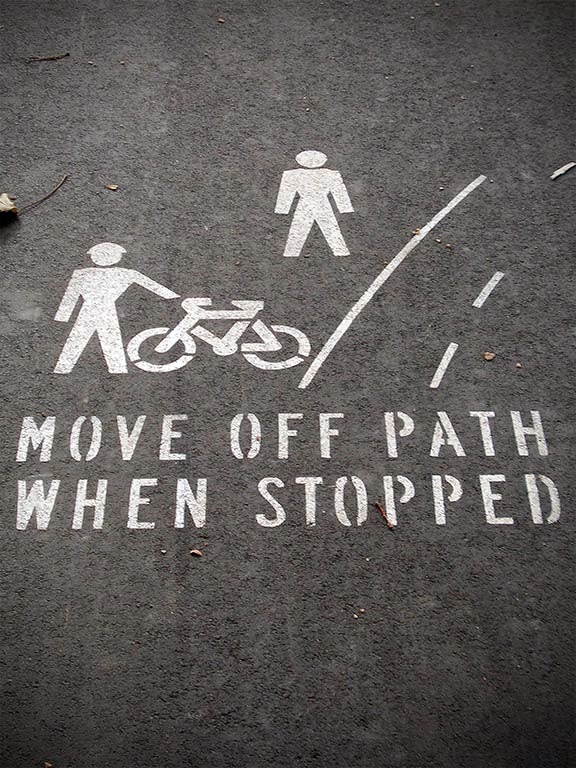 Stop the ped disabled