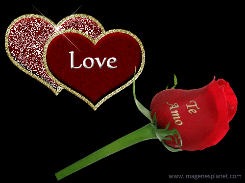 Te amo con rosa bonitas de amor