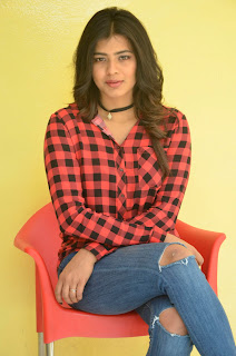 hebah patel at nnnbf success meet hebah patel at nnnbf success meet