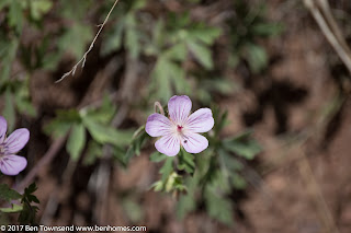 Realtor Colorado Springs | Real Estate Colorado Springs | Real Estate Greenwood Village | Real Estate Lonetree | Homes for Sale Colorado Springs | Property Search | New Homes Colorado Springs | Home Buying | Home Selling | Realty | Real Estate Agent | www.benhomes.com | Broadmoor | Briargate | Flying Horse | Black Forest | Monument | Custom Home | Building Home | New homes Greenwood Village Home Search | Lone Tree Houses for Sale | Highlands Ranch Realtor | Realtor Colorado Springs | Real Estate Colorado Springs | Homes for Sale Colorado Springs | Property Search | New Homes Colorado Springs | Home Buying | Home Selling | Realty | Real Estate Agent | www.benhomes.com | Broadmoor | Briargate | Flying Horse Homes for Sale | Black Forest Search | Homes for sale in Monument | New Custom Homes | Building a Home | www.benhomes.com