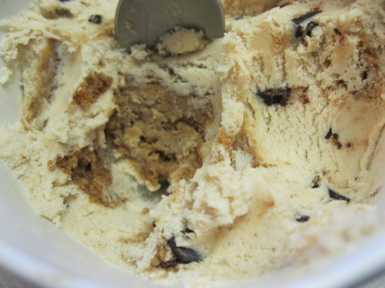 jensblogawog REVIEW Ben & Jerry's Oatmeal Cookie Chunk