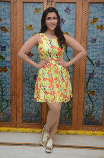 mannara chopra jakkanna photos mannara chopra jakkanna photos
