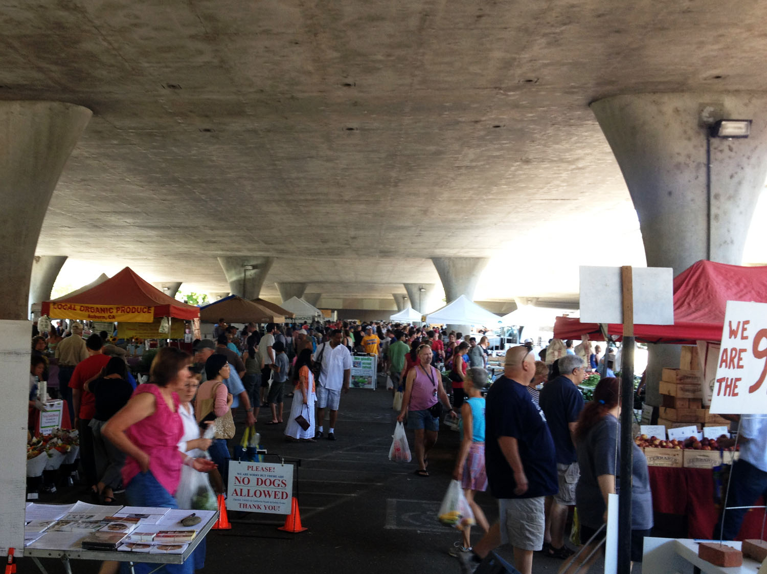 Judy Coates Perez Northern California Farmers Market Love