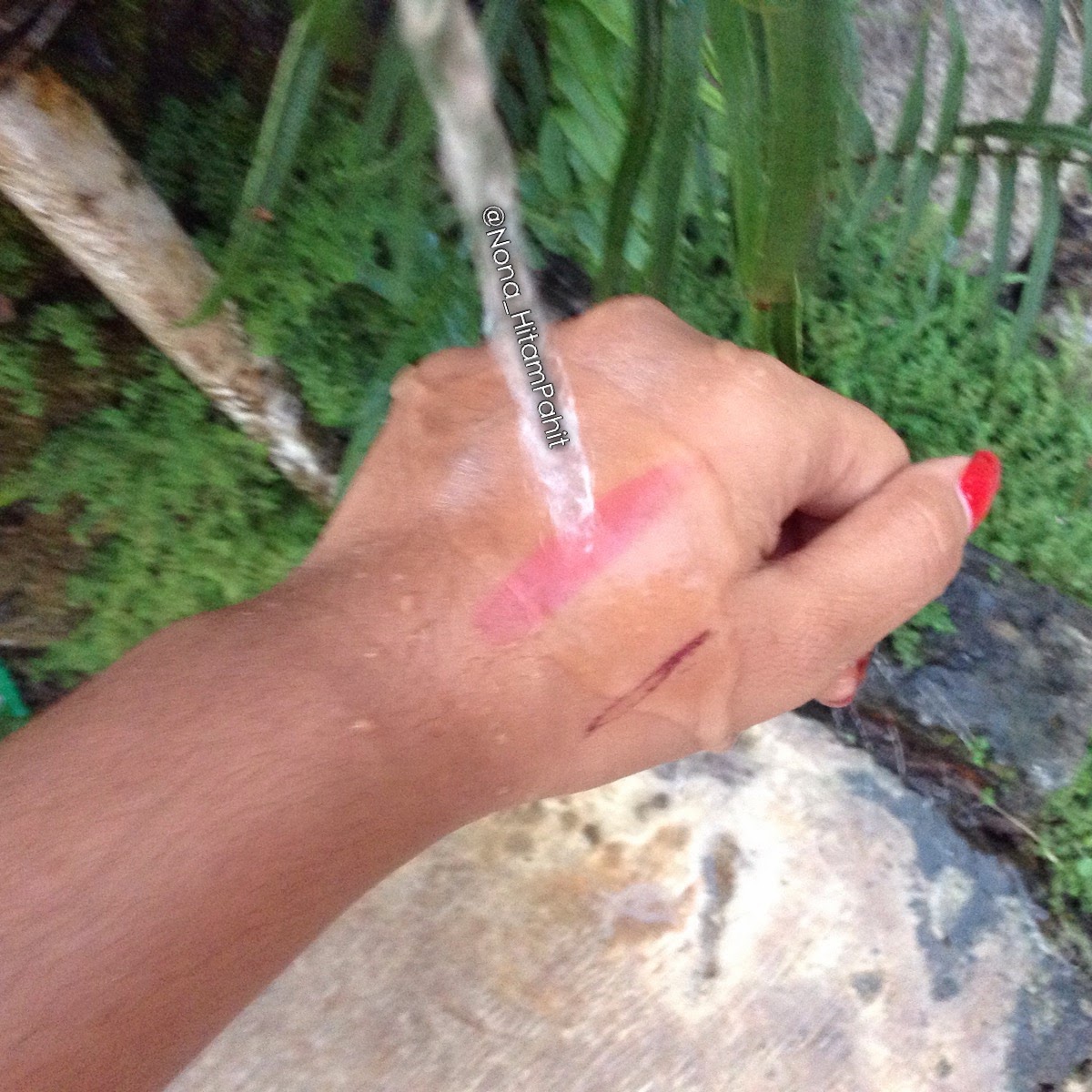 PAC Powder Eye Shadow