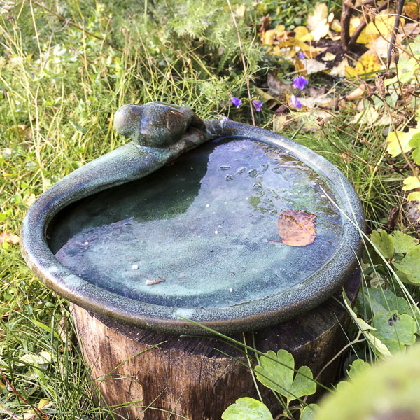 fågelbad fågelbad